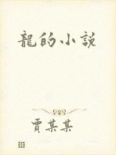 龙的小说