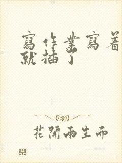 写作业写着写着就插了