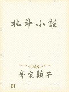 北斗小说