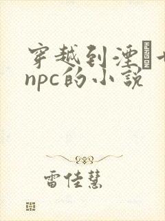 穿越到湮婸世界npc的小说