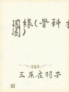 因缘(骨科 校园)