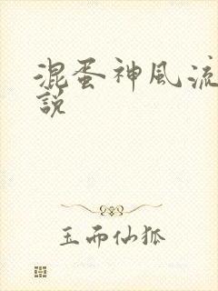 混蛋神风流史小说