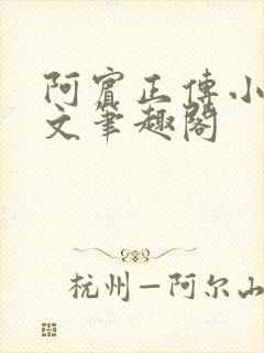 阿宾正传小说全文笔趣阁