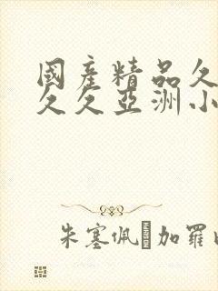 国产精品久久久久久亚洲小说