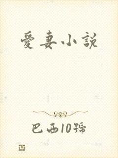 爱妻小说