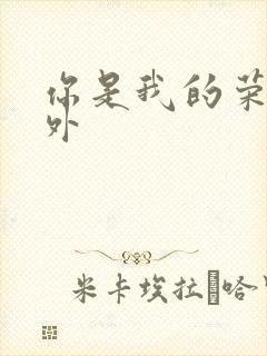 你是我的荣耀番外