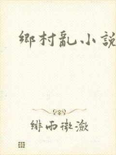 乡村乱小说
