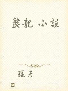 盘龙 小说