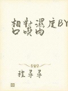 相对湿度BY大口吃肉