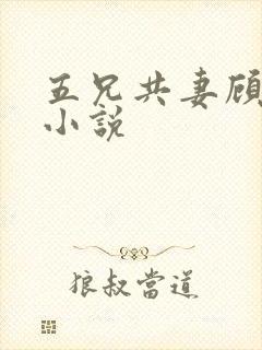 五兄共妻顾心儿小说