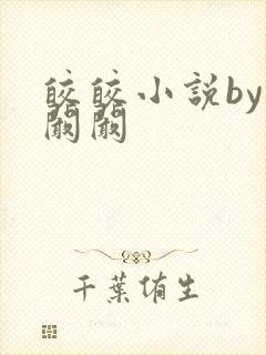 皎皎小说by华阚阚