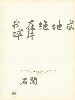 我在绝地求生捡碎片