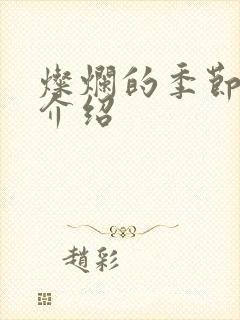 灿烂的季节剧情介绍