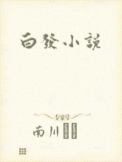 白发小说