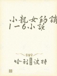 小龙女的销魂夜1一6小说