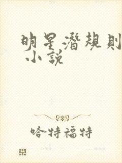 明星潜规则之皇 小说