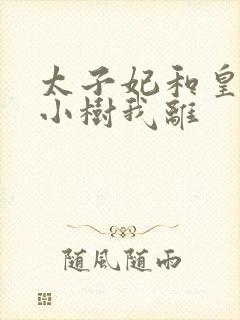 太子妃和皇上在小树我离