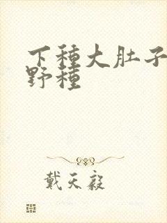 下种大肚子怀孕野种