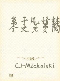 万千风情林小涛全文免费阅读