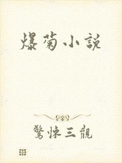 爆菊小说