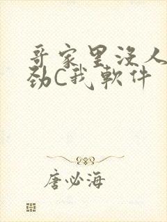 哥家里没人使点劲C我软件