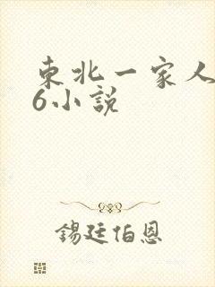 东北一家人1一6小说
