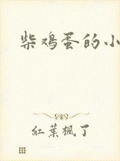 柴鸡蛋的小说