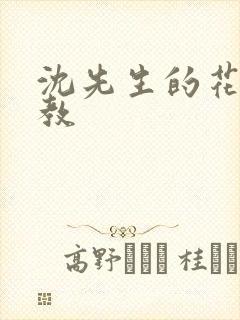 沈先生的花式管教