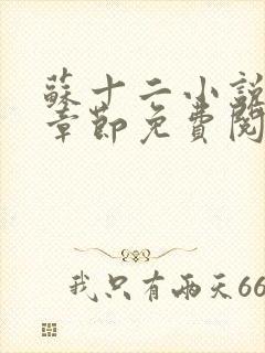 苏十二小说最新章节免费阅读全文