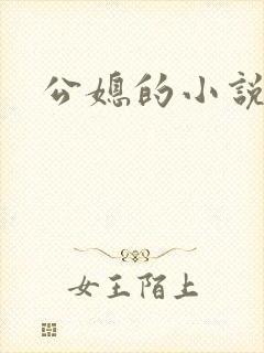 公媳的小说