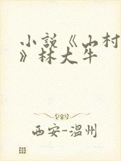 小说《山村情事》林大牛