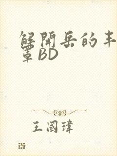 解开岳的丰满奶罩BD