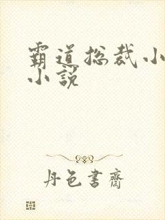 霸道总裁小娇妻小说