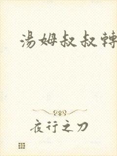 汤姆叔叔转接口