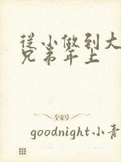 从小做到大骨科兄弟年上