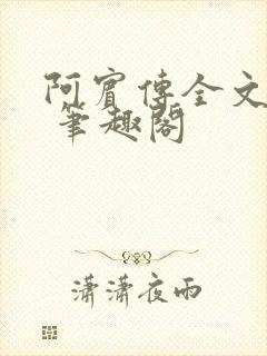 阿宾传全文阅读 笔趣阁