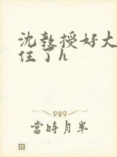 沈教授好大含不住了h