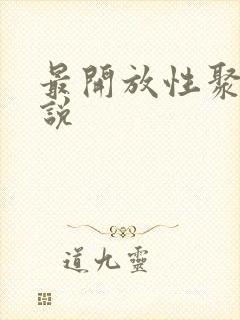 最开放性聚会小说