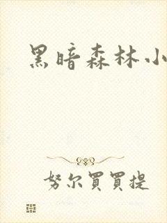 黑暗森林小说