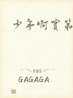 少年啊宾第二部