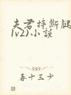 夫君摔断腿后(1v2)小说