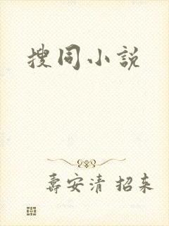 搜同小说