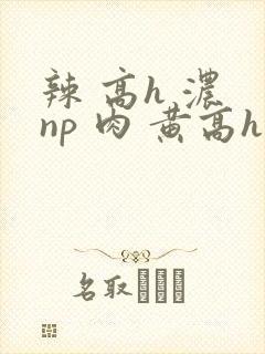 辣 高h 浓 np 肉 黄高h