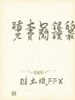 赌木口银的小说免费阅读最新