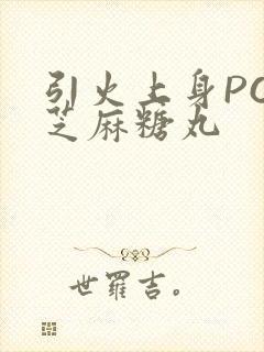 引火上身POP芝麻糖丸