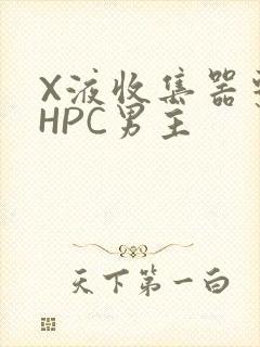 X液收集器系统HPC男主