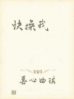 快操我