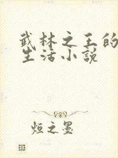 武林之王的退隐生活小说