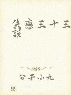 失恋三十三天小说
