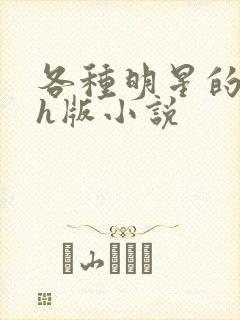 各种明星的综艺h版小说